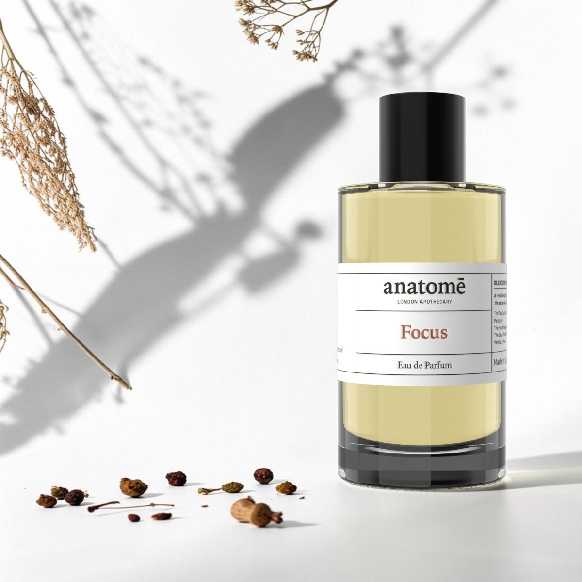 Focus Eau de Parfum | Sharpen Focus &amp; Awaken the Senses 100ml