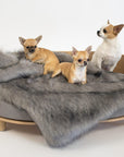 Silver Faux Fur Blanket for Pets