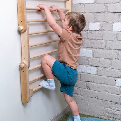 Wall Mount Kit for Climbing Frame