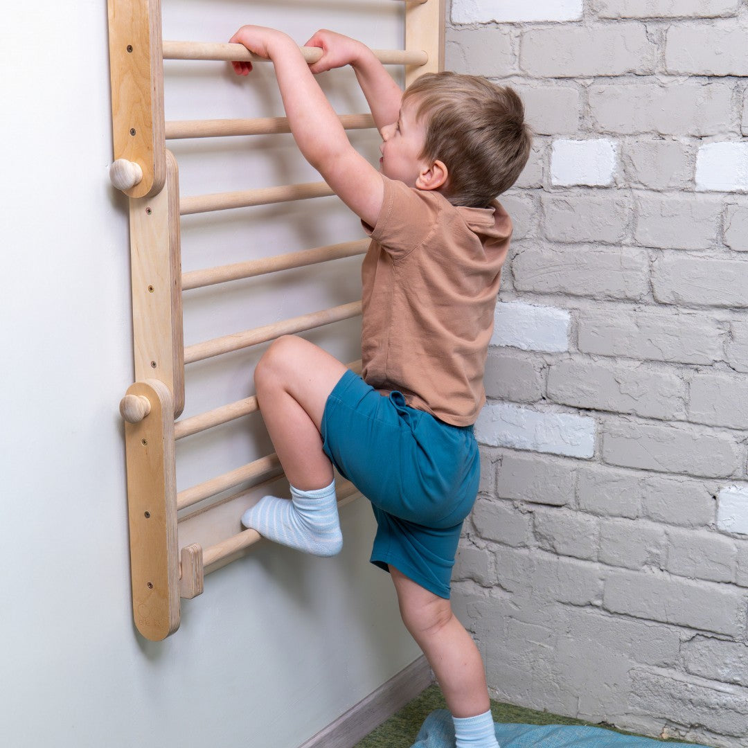 Wall Mount Kit for Climbing Frame