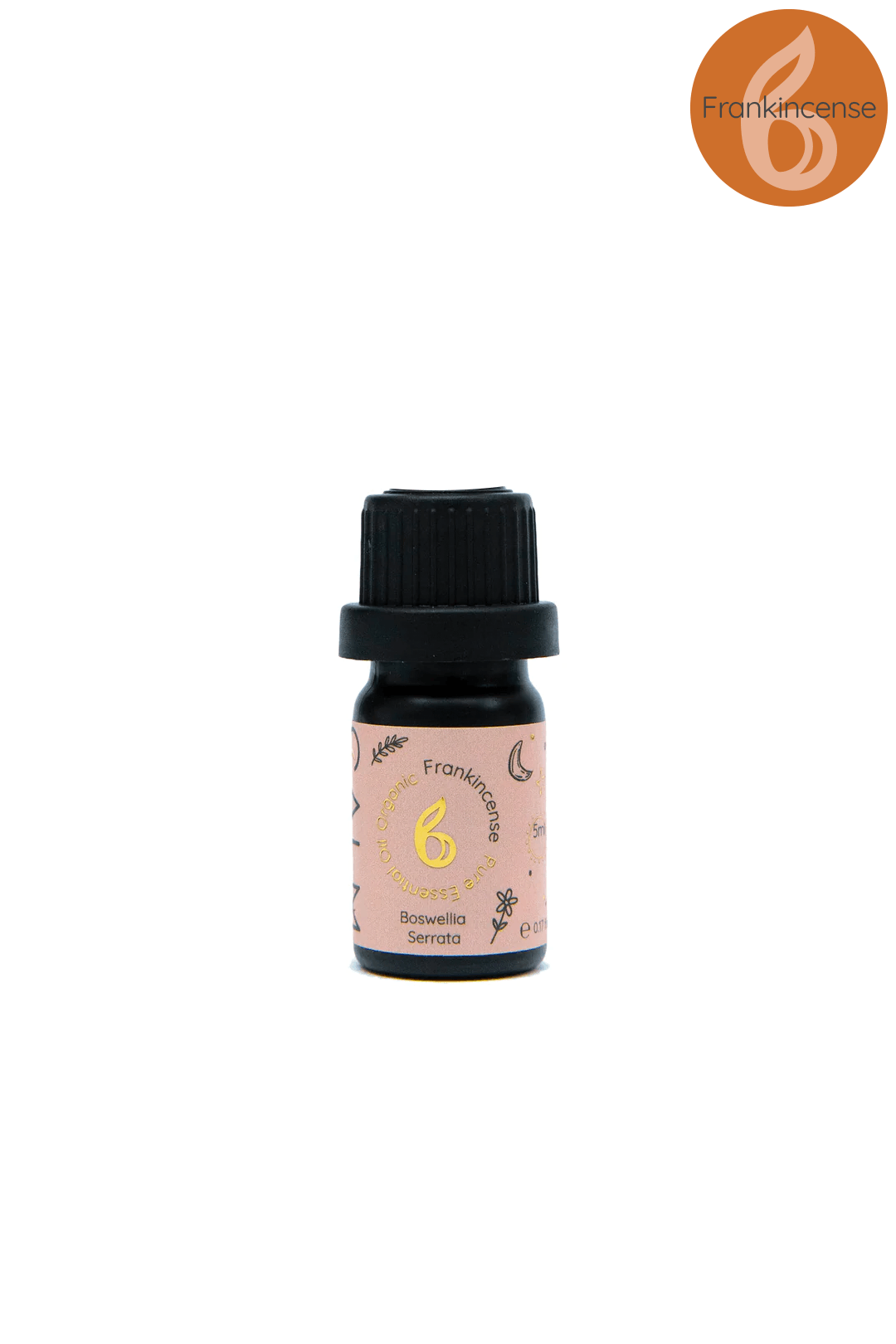 Geometric Glass Aroma Diffuser with Essential Oil Set