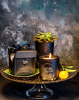 GLOW AROMATHERAPY SOY CANDLE | Revive with Orange & Geranium