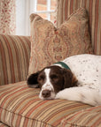 Green Leather Dog Collar