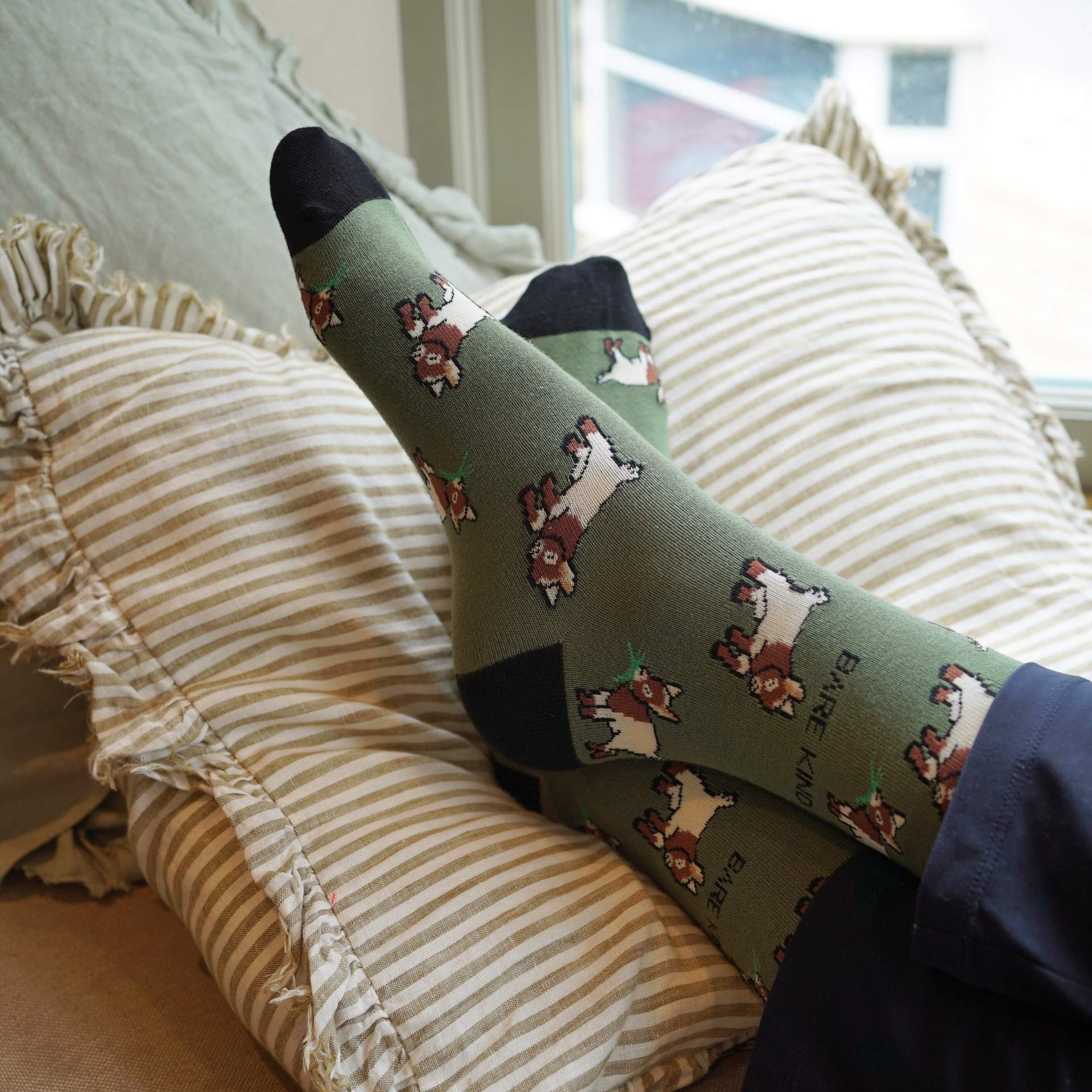 Farm Rainbow Bundle Bamboo Sock Set of 4