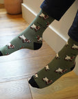 Farm Animals Bundle of 3 Bamboo Socks