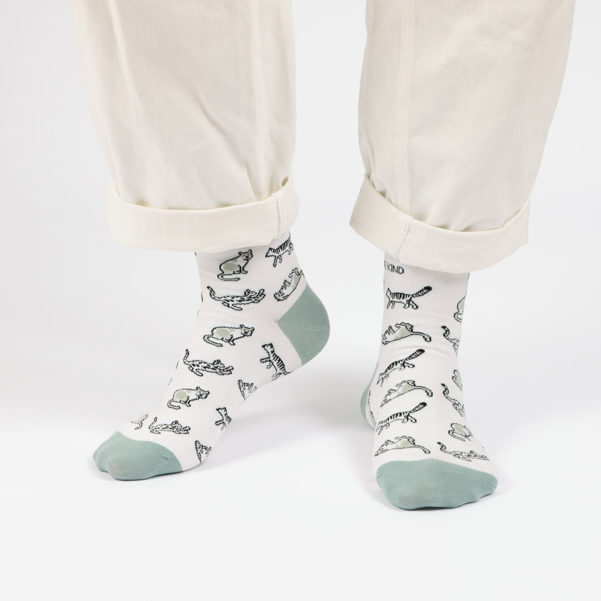 Green Cat Bamboo Sock Pair Set