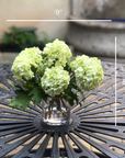 Real touch green hydrangea arrangement in glass vase - 8"