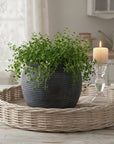 Grey Ribbed Ceramic Planter Small Size