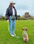 Dog Walking Bum Bag - Grey