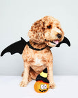 Halloween Pumpkin Head Plush Toy
