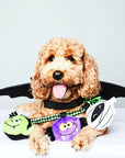 Halloween Tug-of-War Plush Rope Toy