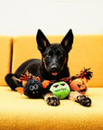 Halloween Tug-of-War Plush Rope Toy