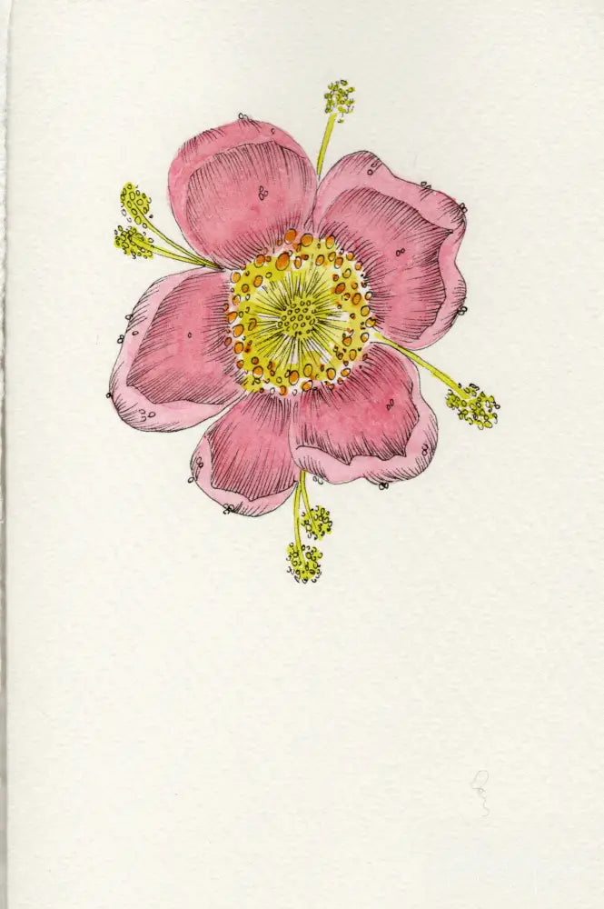 Hand painted Stationery