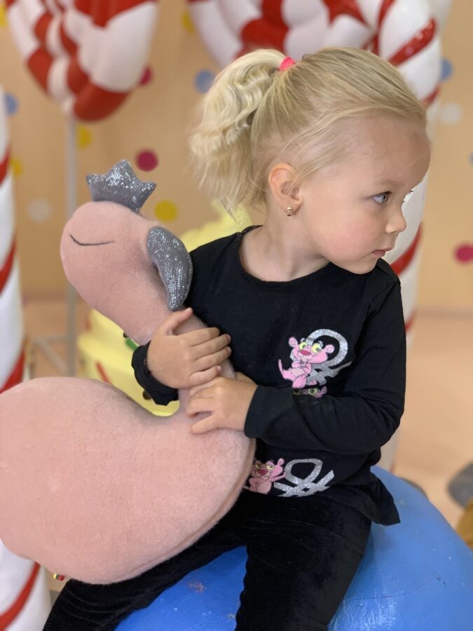 Handmade Pink Flamingo Soft Toy With Crown