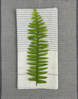 Hamptons Handloom Dinner Napkins