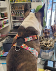Travel Inspired Dog Harness with Leather Detail