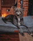 THE BALMORAL | LUXURY HERRINGBONE FLAT PILLOW DOG BED