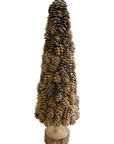 Holly Evergreen Tree