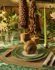 Holly Evergreen Tree