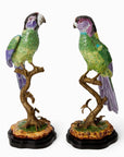 Copacabana The Hottest Bird North of Havana