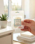 Scented Hoover Discs - Vacuum Fresheners