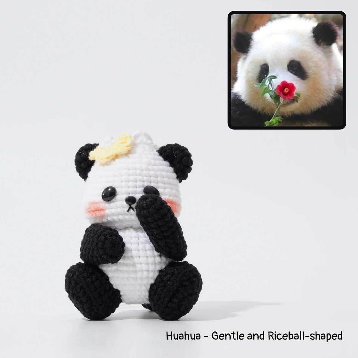 Giant Panda Family