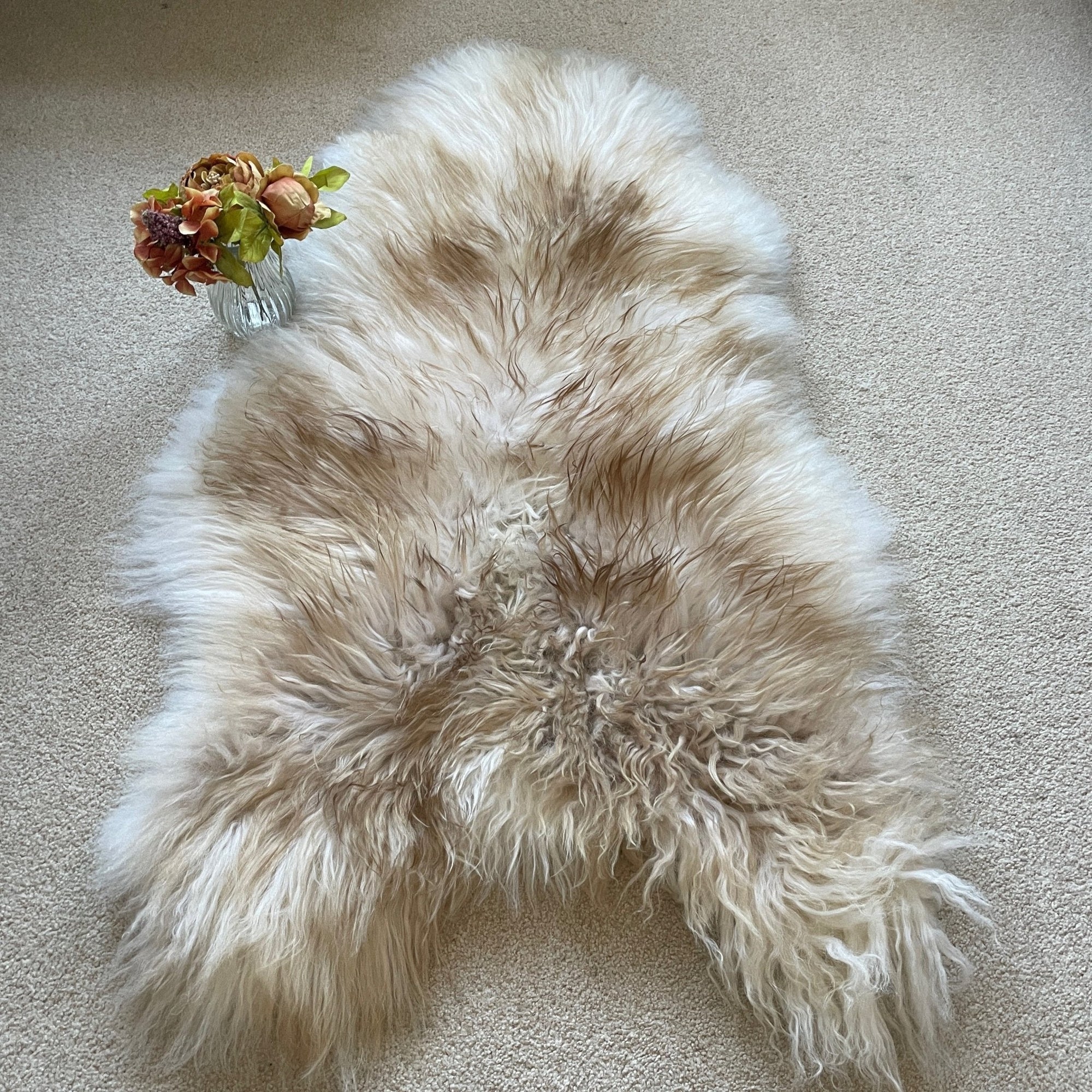 Luxury Icelandic Latté sheepskin rug, 100% natural brown tipped white fur, premium handcrafted home decor by Wildash London at brixbailey.com