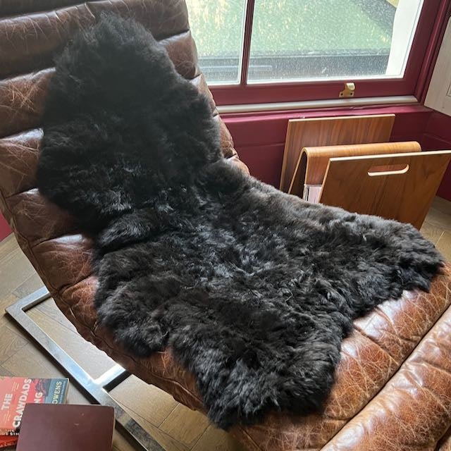 Luxury Icelandic sheepskin rug, dark graphite grey, premium shorn 50mm fleece, ethically sourced, hypoallergenic, best-selling by Wildash London at brixbailey.com