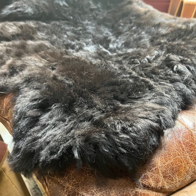 Luxury Icelandic sheepskin rug, dark graphite grey, premium shorn 50mm fleece, ethically sourced, hypoallergenic, best-selling home decor by Wildash London at brixbailey.com