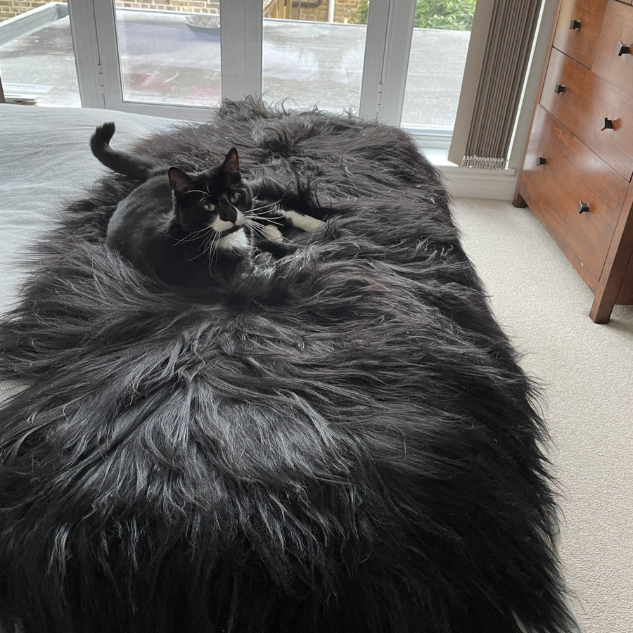 Luxury handmade Icelandic sheepskin rug, 100% natural black long fur runner, double back to back, premium quality, soft and stylish by Wildash London at brixbailey.com