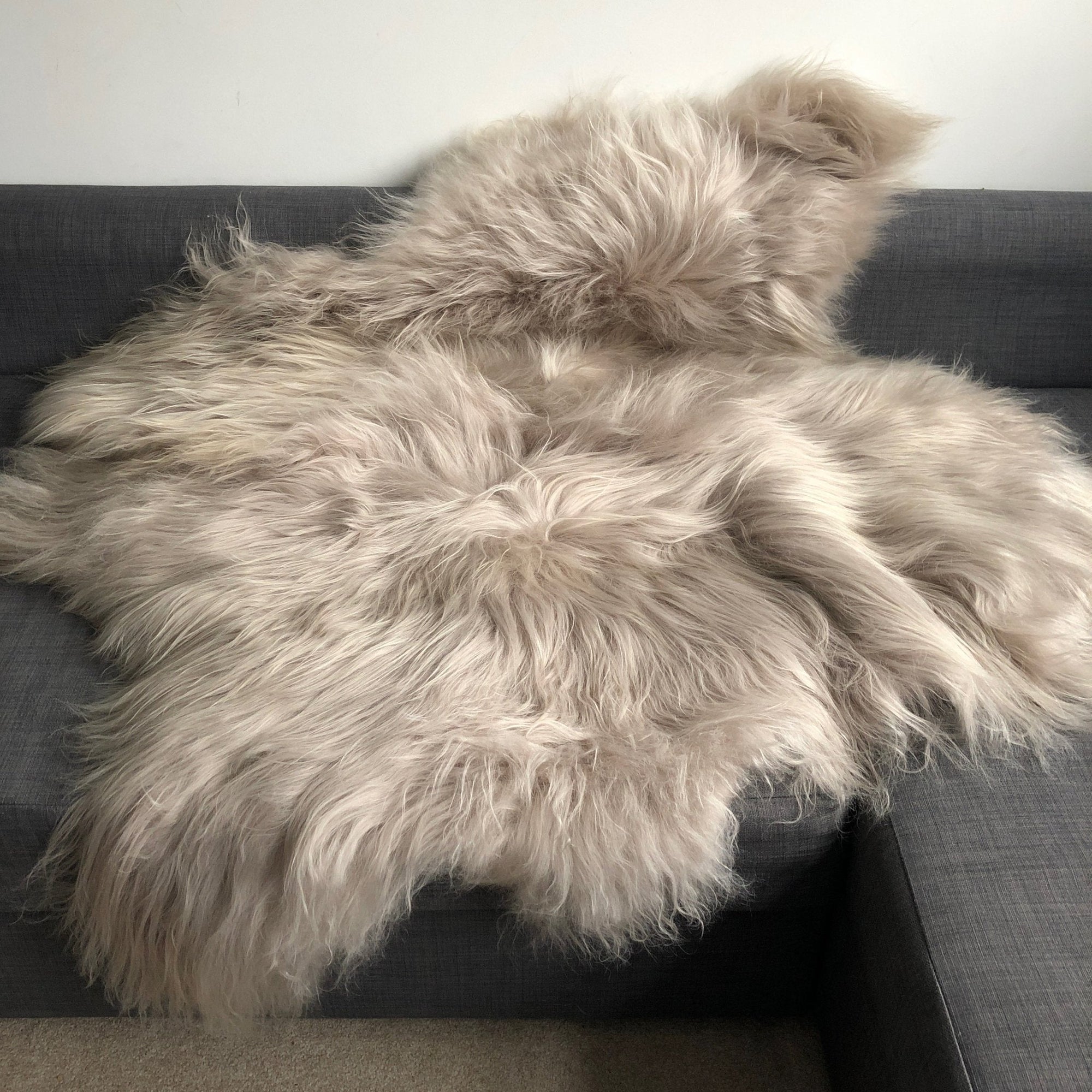 Icelandic Sheepskin Long Fur Rug Throw Dove Grey | All Sizes