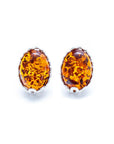 Floral Frame Amber Stud Earrings