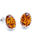 Floral Frame Amber Stud Earrings