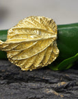 Real Leaf Statement Ring, Handmade Statement Jewelry, Organic Botanical Band, Unique Gift for Nature Lovers, Gold or Sterling Silver 925
