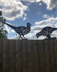 2 Rusty Metal Pheasants Garden Pheasants