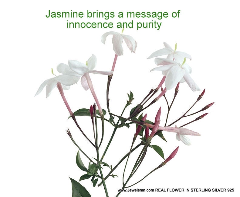 Twig Cross Necklace: Silver and Gold Nature Design (2cm Pendant)-3