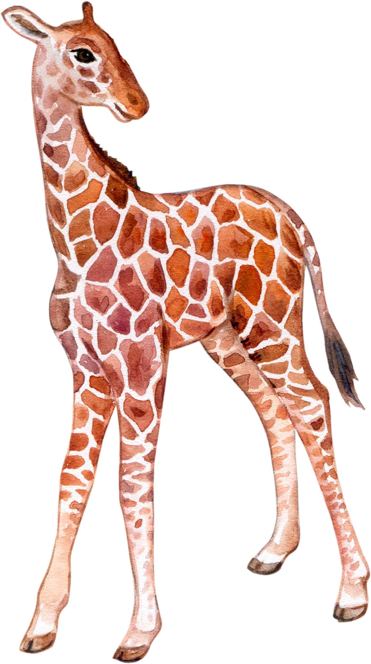 Big Wall sticker Set for kids, Baby giraffe