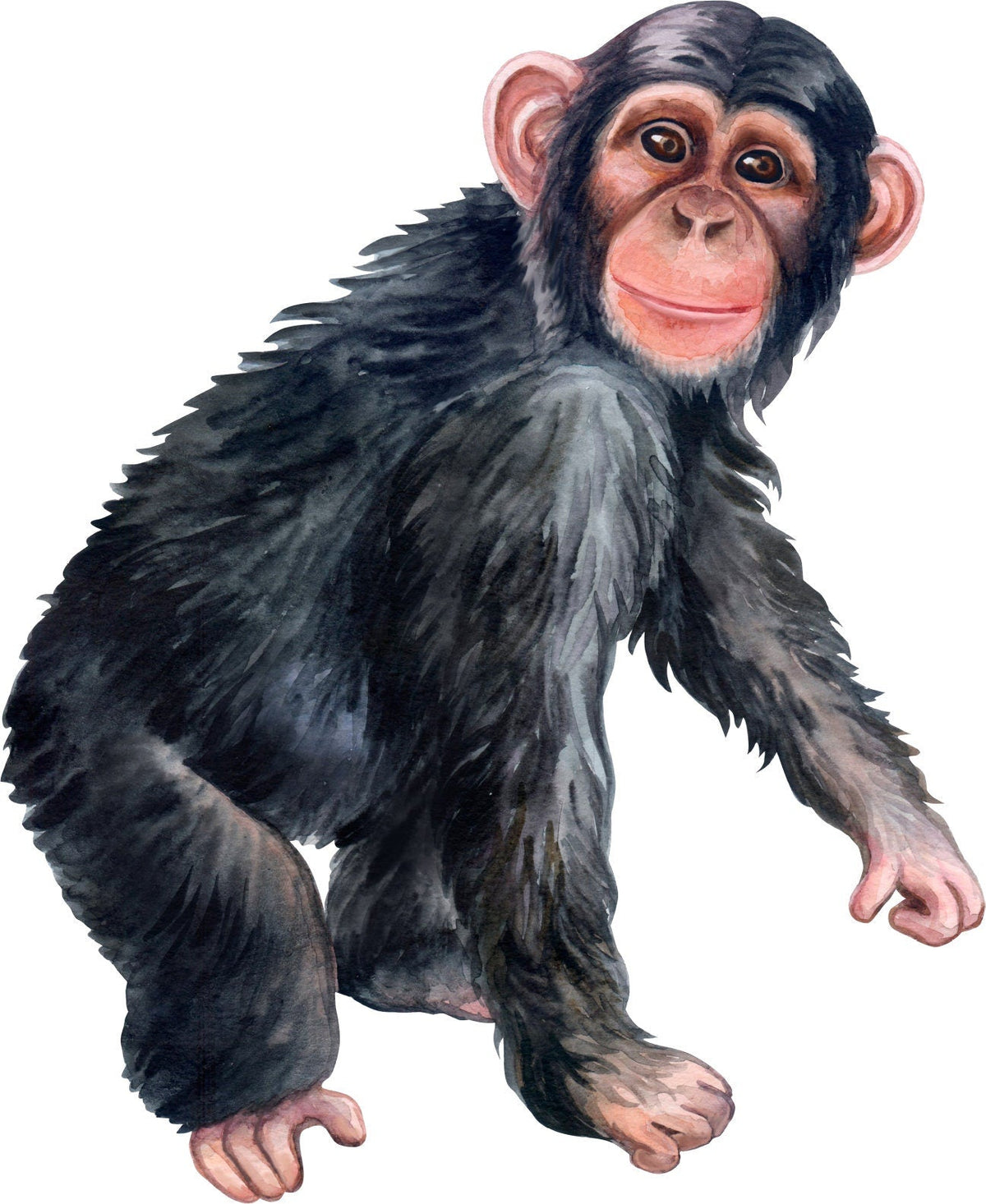 Big Wall sticker Set for kids, Chimp