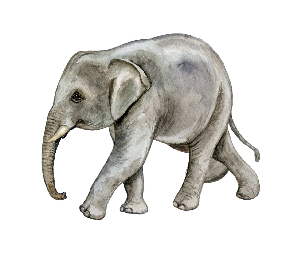 Big Wall sticker Set for kids, Baby elephant