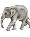 Big Wall sticker Set for kids, Baby elephant