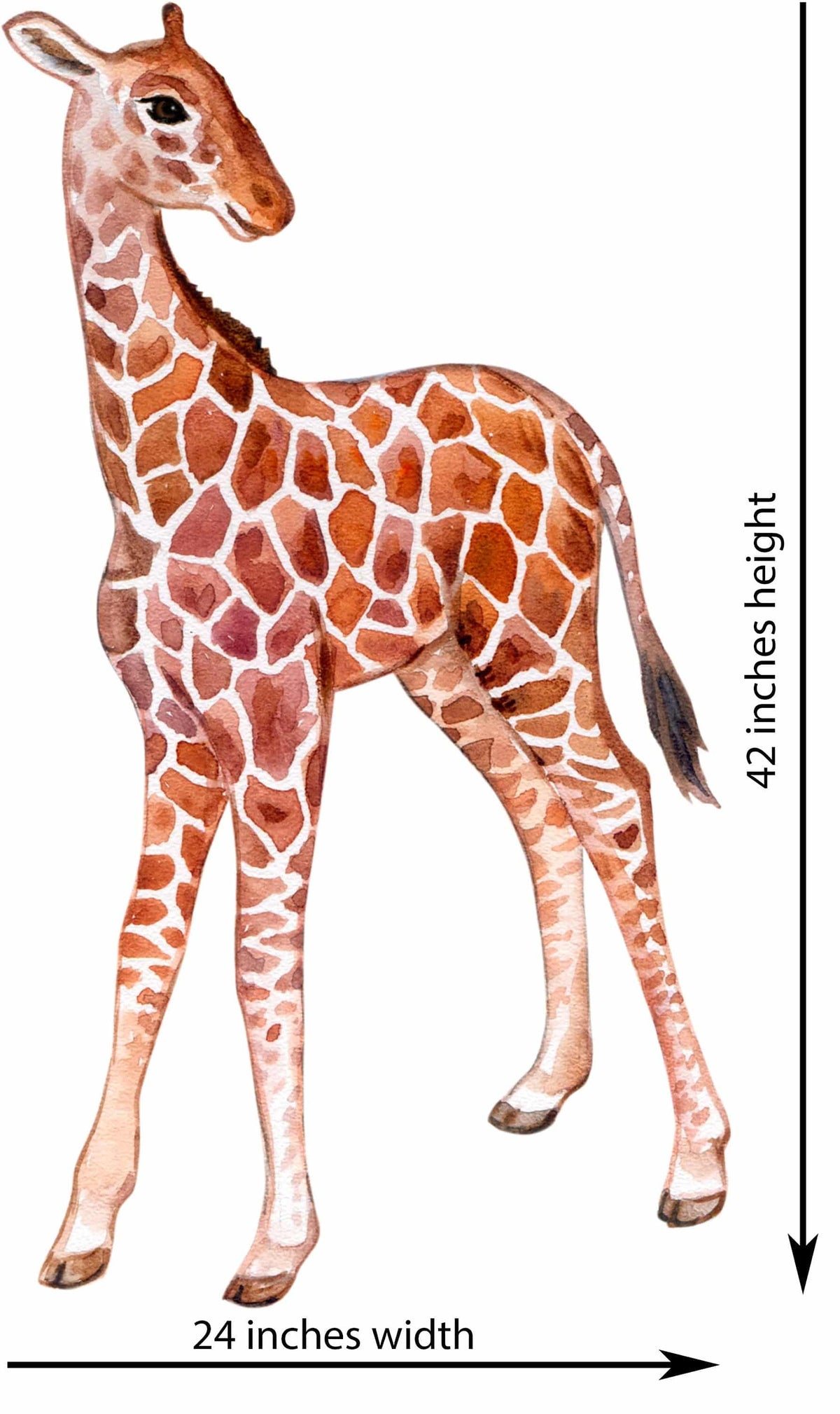 Big Wall sticker Set for kids, Baby giraffe