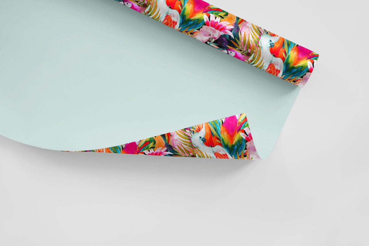 Color Parrot    | Color Parrot   Removable Wallpaper | Peel and Stick |  