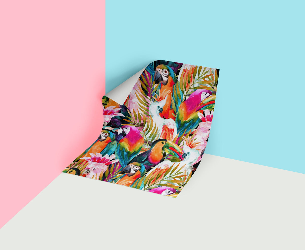 Color Parrot    | Color Parrot   Removable Wallpaper | Peel and Stick |  