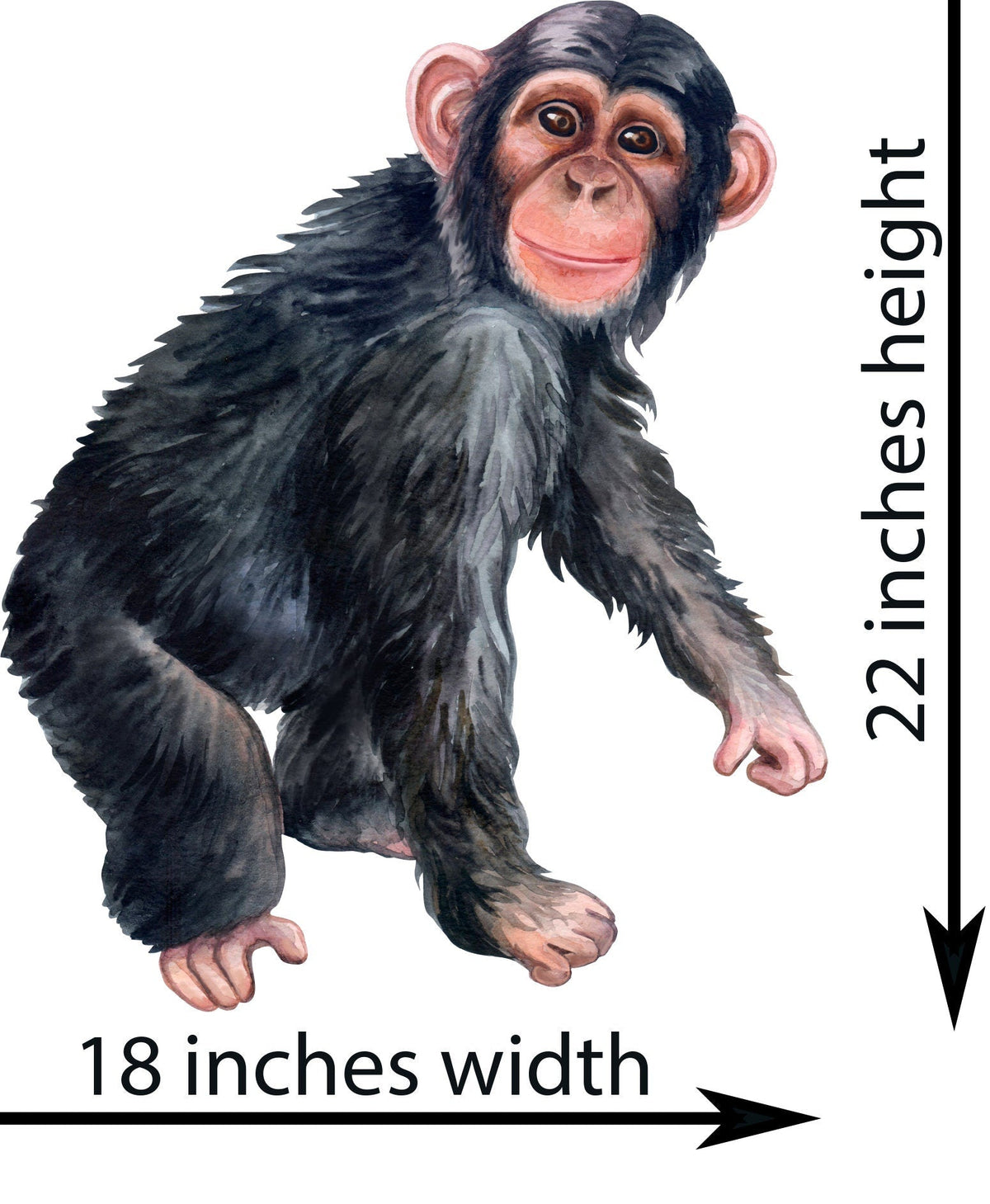 Big Wall sticker Set for kids, Chimp