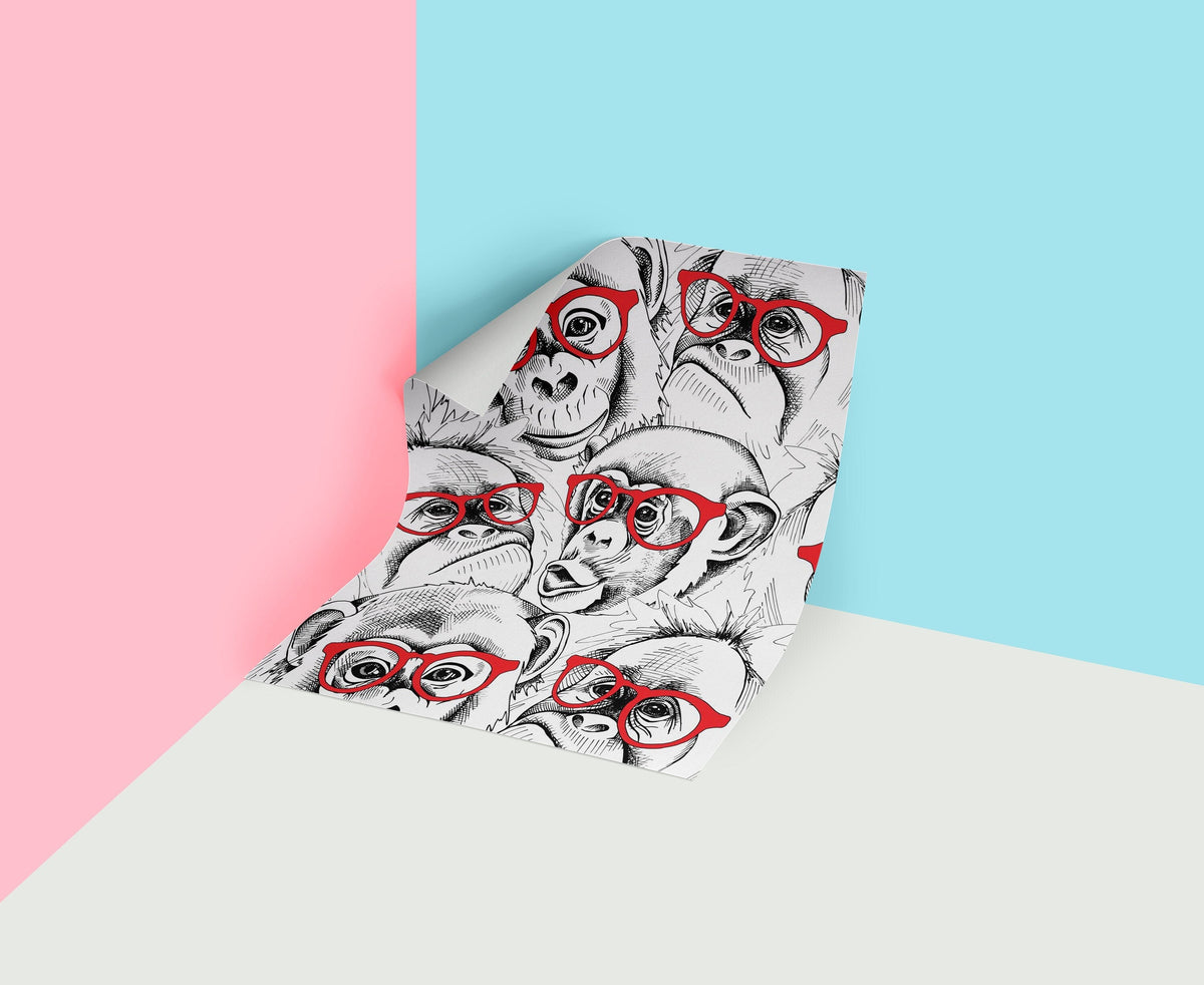 Monkey     | Monkey    Removable Wallpaper | Peel and Stick |  