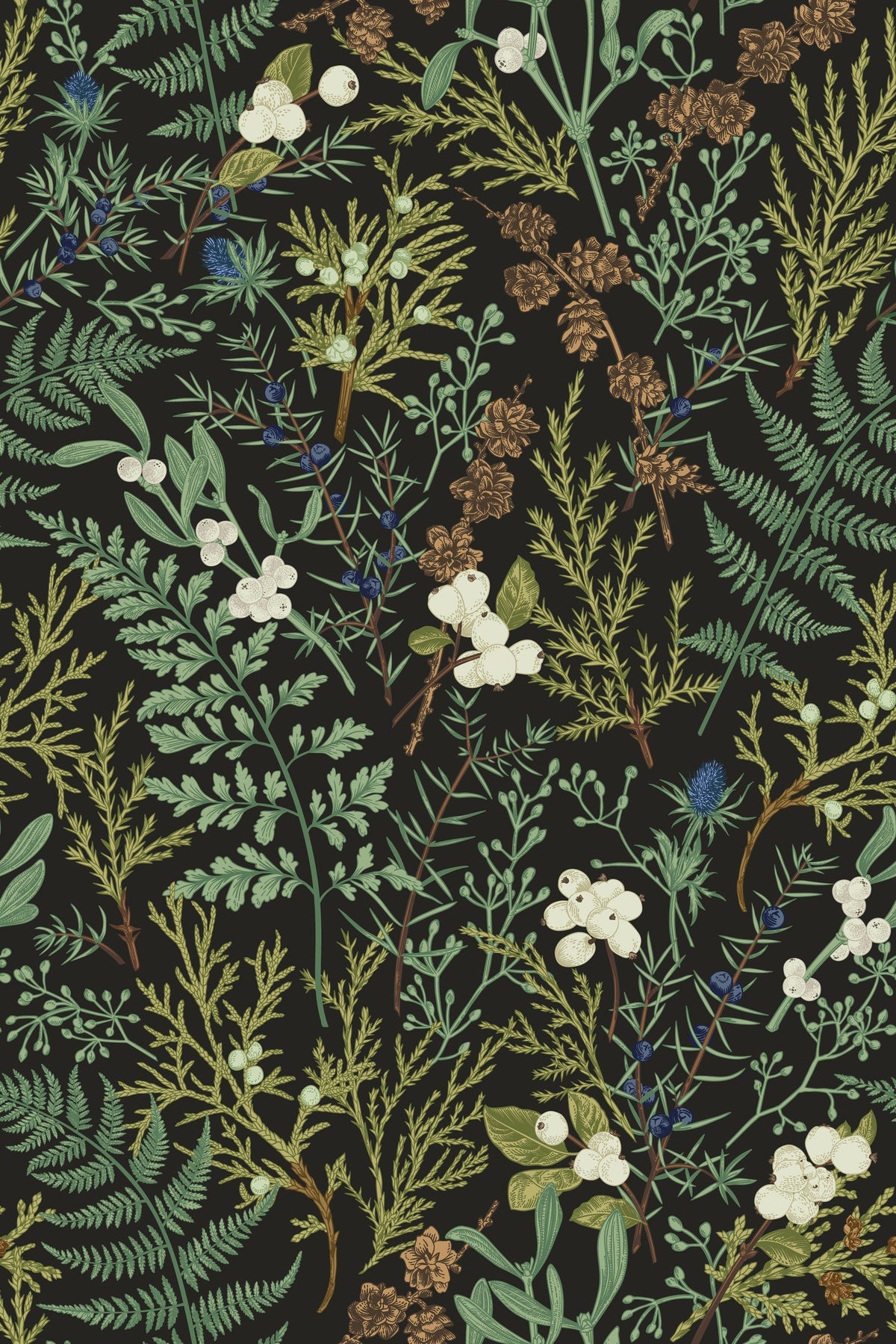 Botanical Ferns Self Adhesive Wallpaper | Wonderwallsboutique