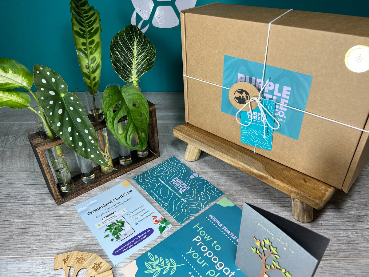 Plant Propagation Gift Set 