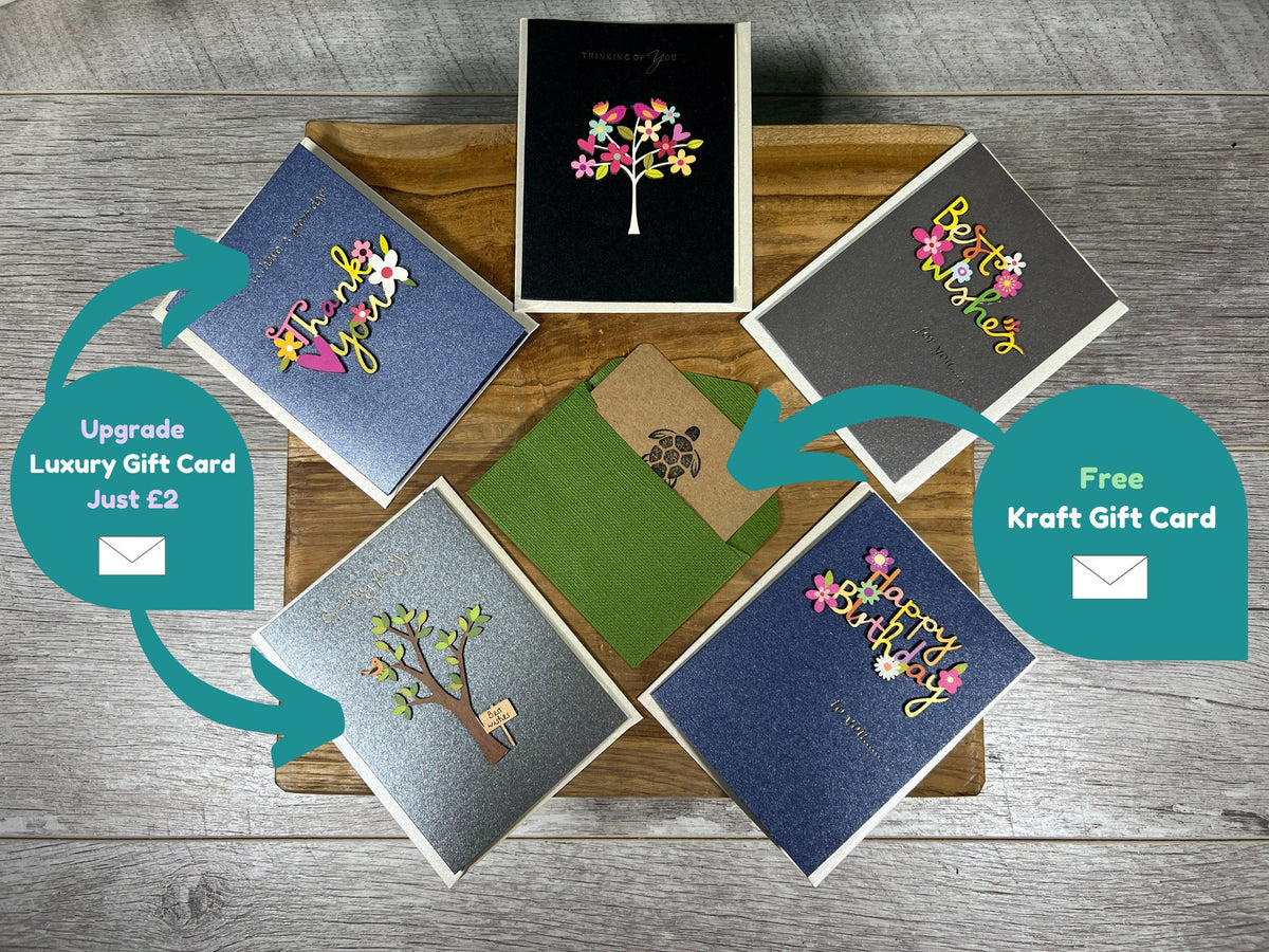 Plant Propagation Gift Set 
