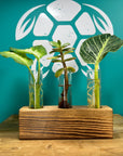 Plant Propagation Gift Set 