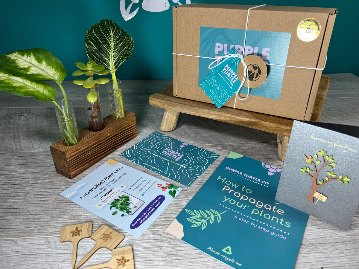 Plant Propagation Gift Set 